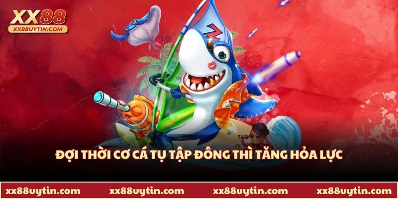 Đợi thời cơ cá tụ tập đông thì tăng hỏa lực